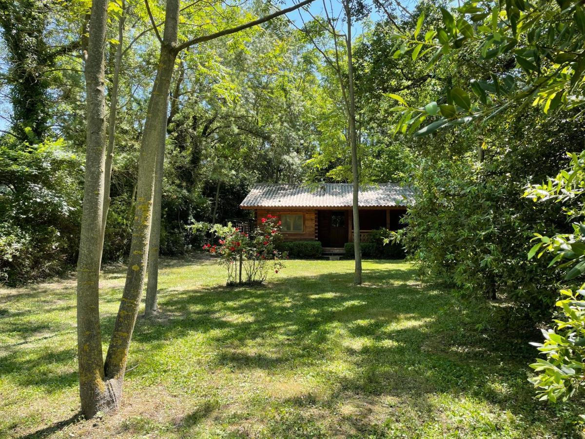 Bastidette Florestane Saint-Rémy-de-Provence Eksteriør bilde