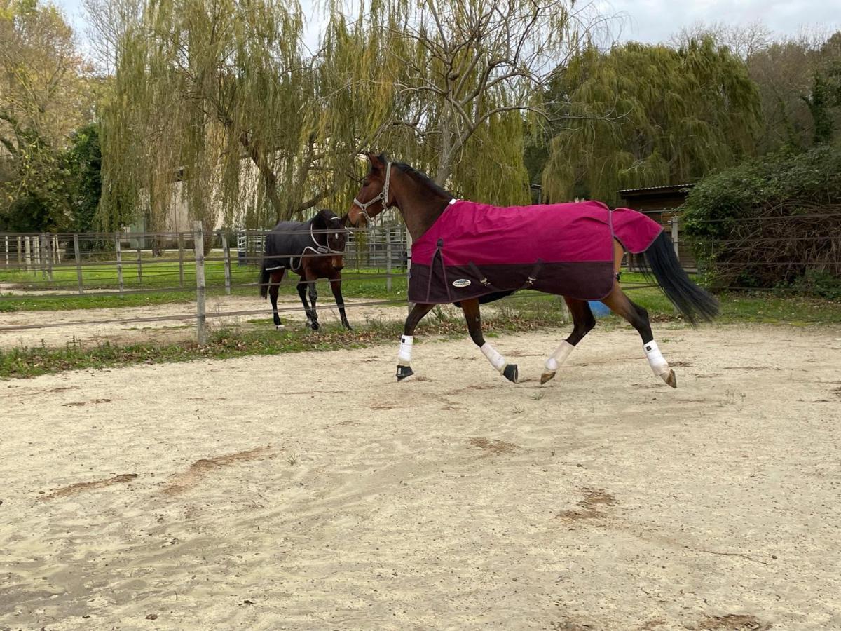Bastidette Florestane Saint-Rémy-de-Provence Eksteriør bilde