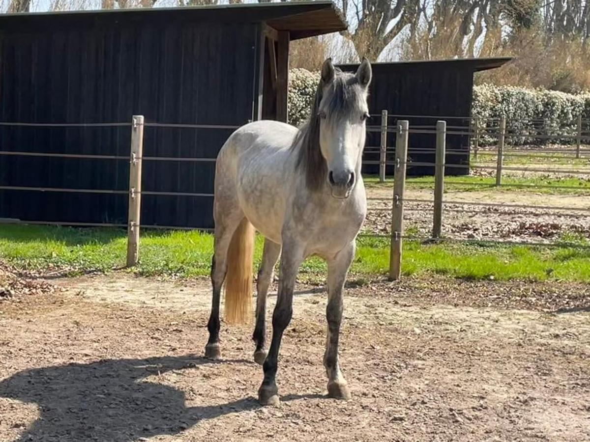Bastidette Florestane Saint-Rémy-de-Provence Eksteriør bilde